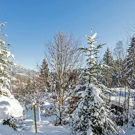 Chalet Quaint Chalet In W Rgl Boden With Terrace Bad Häring
